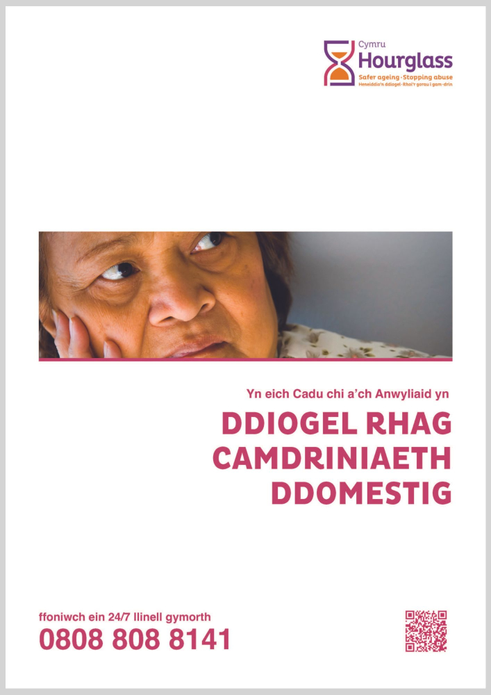 domesticcymru